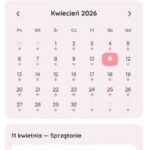 Aplikacja -Czysty Domek